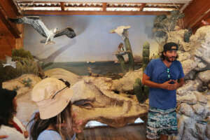 Presenting about Cabo Pulmo's ecosystem