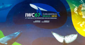 IWC Meeting