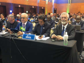 Brazil Delegation