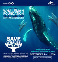 Whaleman 20th Anniversary eBay Charity Auction