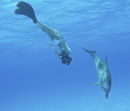 Hayden swimming with dolphin