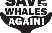 Save the Whales Again!