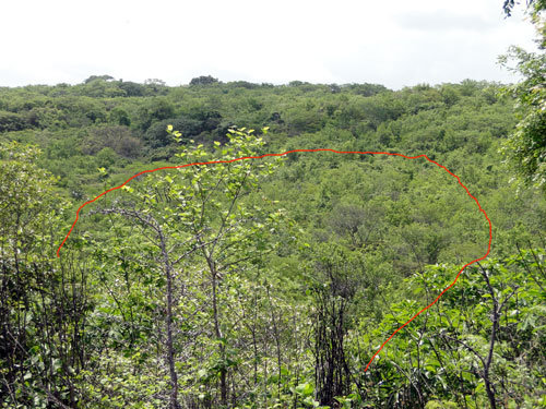 8 has. being preserved over next 5 years, in red