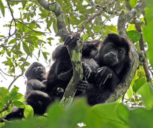 Preserving El Farallon Natl. Monument, Costa Rica