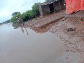 Floods damage houses