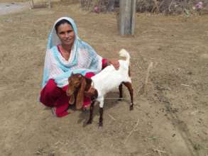 Women Group empowered