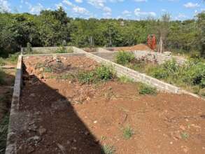 New Clinic Foundations