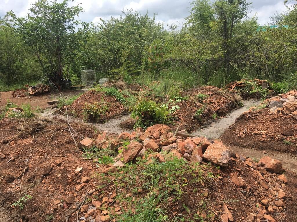 New Small Animal Clinic for ReWild Wildlife Centre