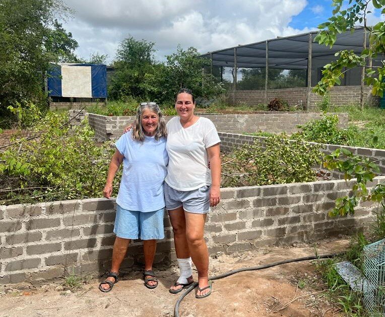 New Small Animal Clinic for ReWild Wildlife Centre GlobalGiving