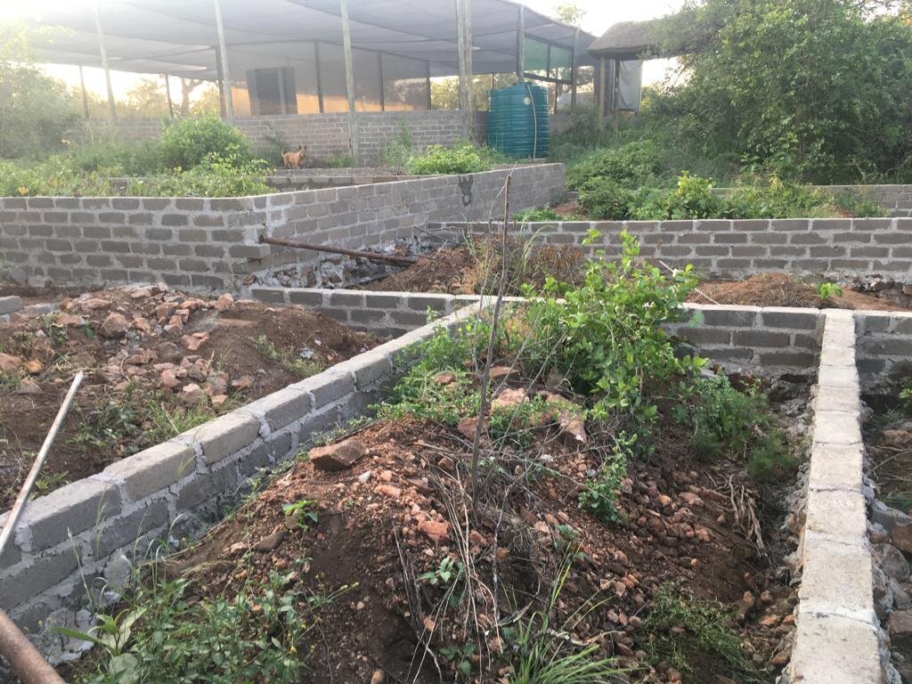 New Small Animal Clinic for ReWild Wildlife Centre