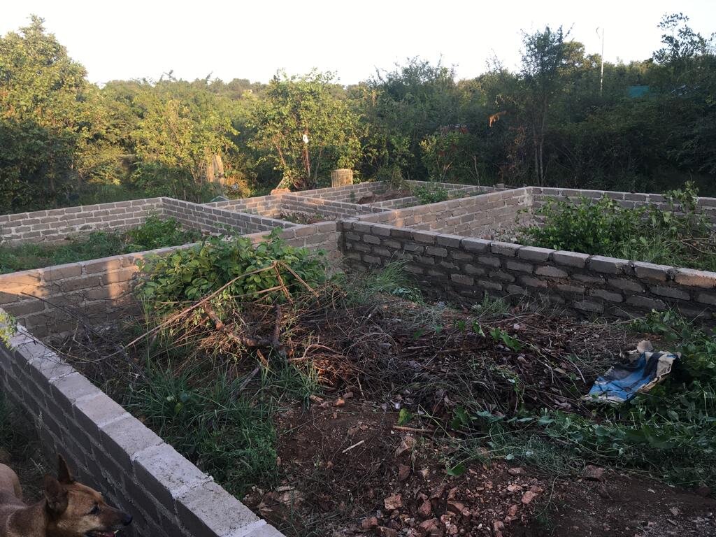 New Small Animal Clinic for ReWild Wildlife Centre