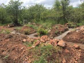 Clinic Foundations