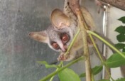 New Small Animal Clinic for ReWild Wildlife Centre