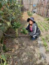 Follow-up with a mother and her organic garden