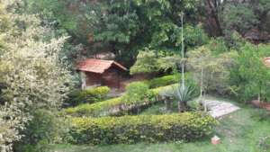 World Environment Day-1