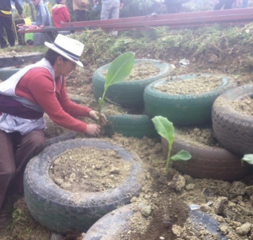 Ladrillo Verde Supporting Rural Families