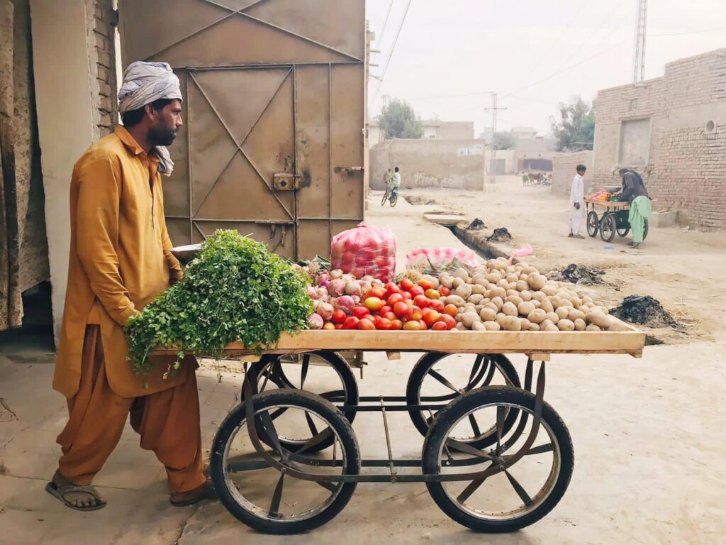 Empowering Flood-Affected Families in Pakistan