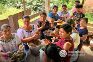 Community self-building with natural materials.