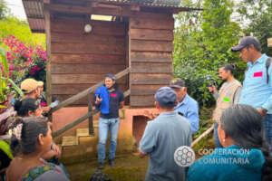Ecotechnologies care for water and forests.