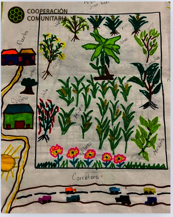 A participant draws the milpa and territory.