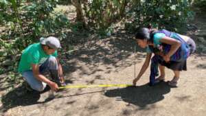 Cimentacion