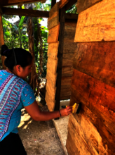 A tseltal woman painting her dry toilet