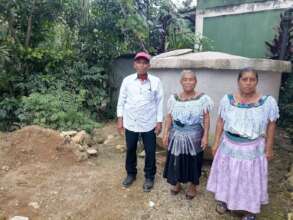 Family of patatel