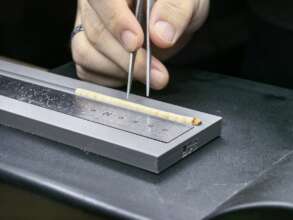 Polishing tree cores