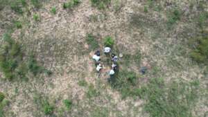 Ariel Photo of Forest Survey