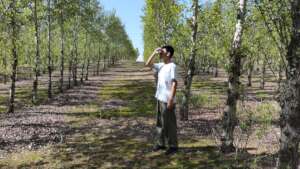 Volunteers measuring the tree height.