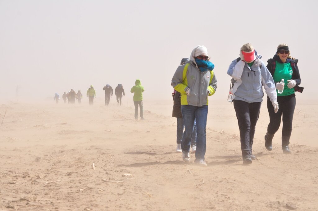 Plant 10,000 Trees in Northern China