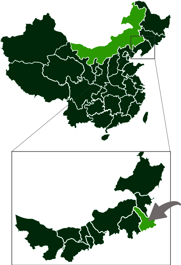 Plant 10,000 Trees in Northern China
