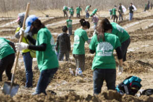 Planting trees with locals