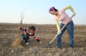 Plant 10,000 Trees in Northern China