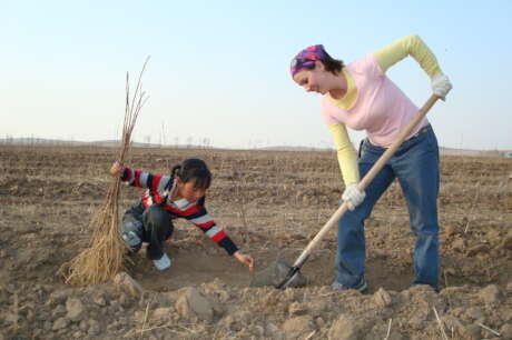 Plant 10,000 Trees in Northern China