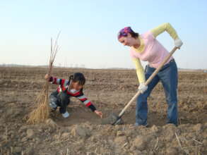 Plant 10,000 Trees in Northern China