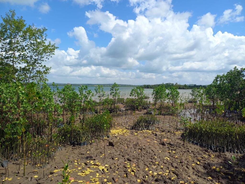 ECOS: Blue Economy and Coastal Ecosystem in Kenya