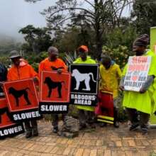 Our team stood together to secure funding