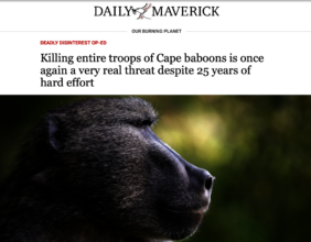 BM creating awareness to save our baboons