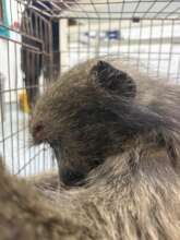A head trauma caused blindness for this girl