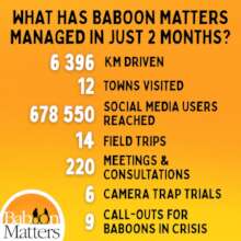 Work covered by BM in last months