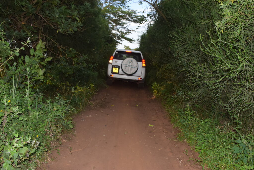 Send Pain Relief to 40 remote districts in Uganda.