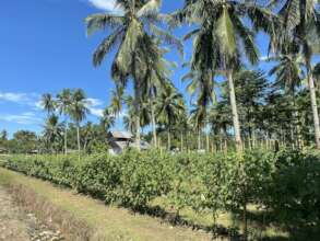Continue with assistance