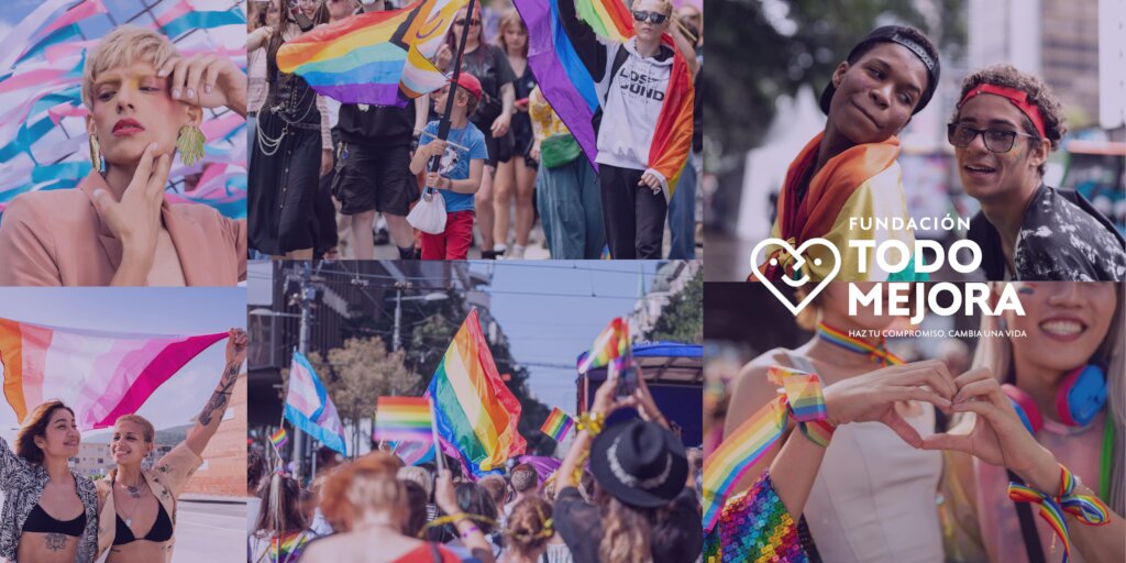 Fundacion Todo Mejora Chile