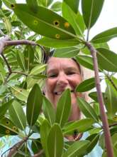 Denise Mizell peeking through the mangroves