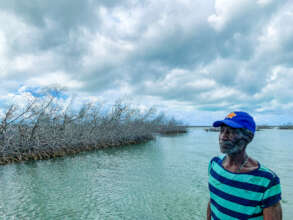 Contemplating the Loss of Mangroves
