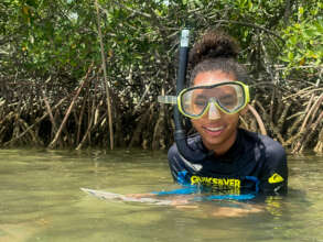 Exploring the Mangroves