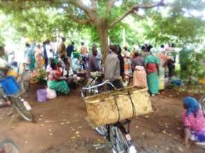 Collecting the tree seedlings for villages