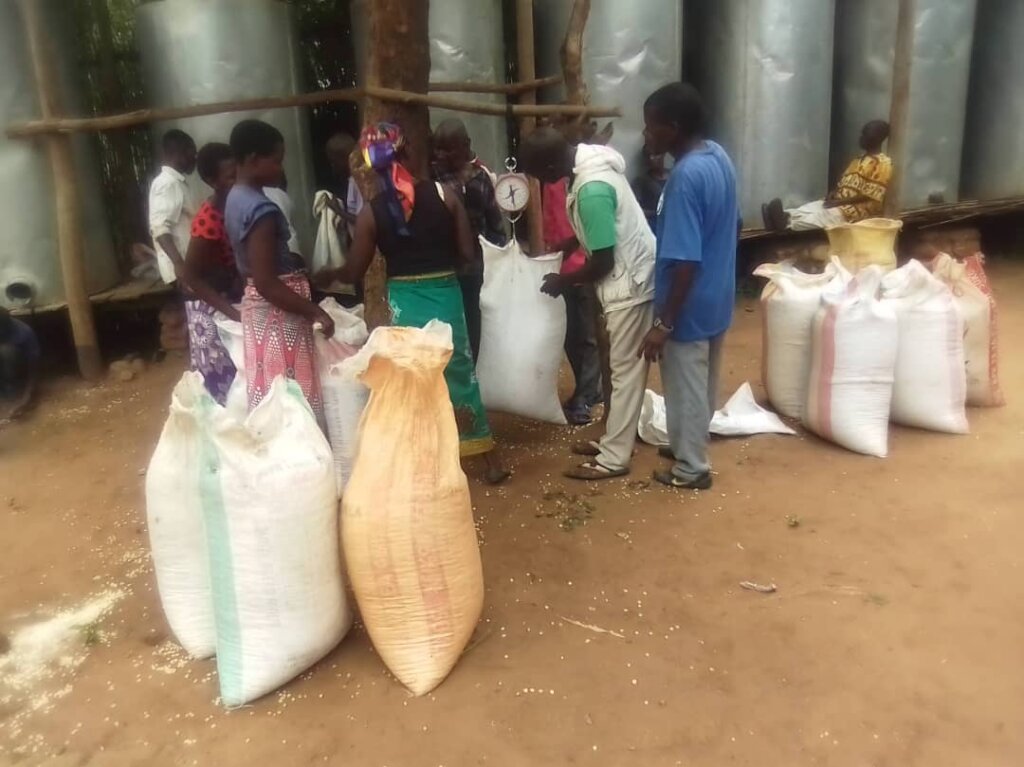 Plant the seeds of tomorrow for an Orphan child