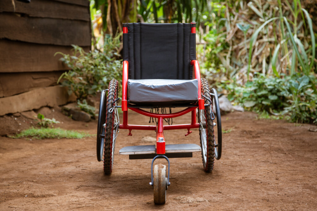 Assist our Rehabilitation and Therapy Outreach.